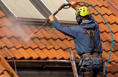 Démoussage et hydrofuge de toiture à Chavanod